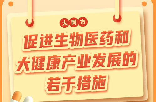 大同市人民政府門戶網(wǎng)站 惠民政策與補貼查詢的官方指南