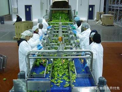 三百萬資金推動(dòng) 水果種植全鏈創(chuàng)業(yè)指南
